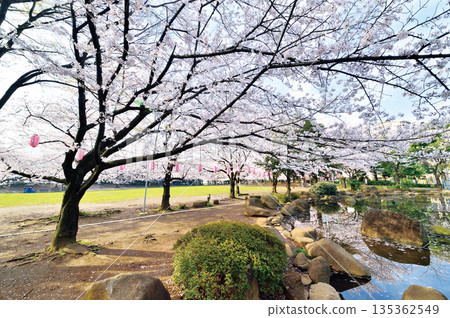Warabi Civic Park Warabi Civic Park 135362549
