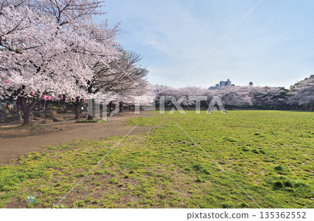 Warabi Civic Park Warabi Civic Park 135362552