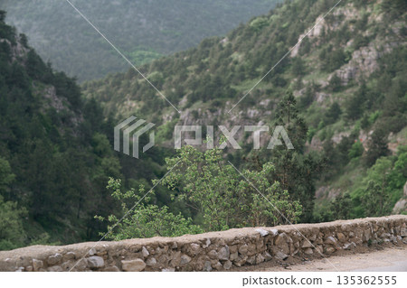 A mountain range with a green tree in the foreground. The mountain range is covered in trees and rocks. A mountain range with a green tree in the foreground. The mountain range is covered in trees and rocks. 135362555