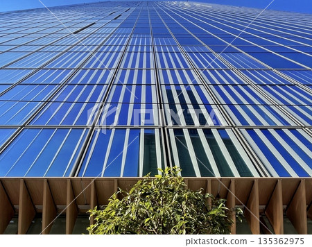 藍天白雲，摩天大樓林立，城市辦公區綠樹成蔭。 135362975