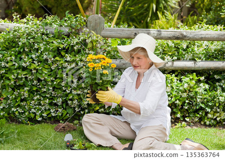 Senior woman wearing hat planting potted yellow blooms in garden beside fence trowel, copy space 135363764