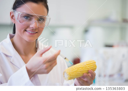 Female scientist wearing goggles injecting liquid with syringe into corn at lab bench, copy space 135363803