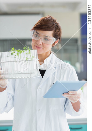 Female scientist in lab coat holding test tube rack with green seedlings, checking tablet in lab 135363873