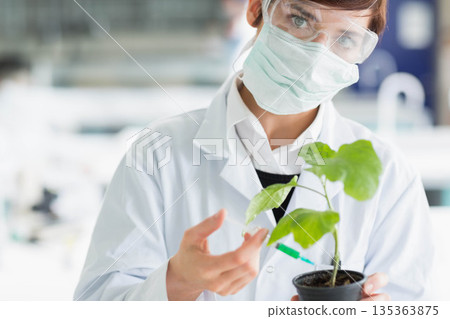 Female scientist wearing lab coat safety goggles surgical mask, examining plant leaves in lab 135363875