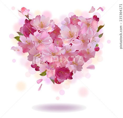 Cherry petal heart isolated on the white Cherry petal heart isolated on the white 135364171