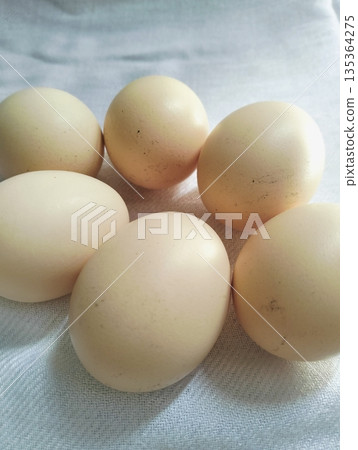 Fresh chicken eggs arranged on white fabric background representing natural farm product and food ingredient Fresh chicken eggs arranged on white fabric background representing natural farm product and food ingredient 135364275