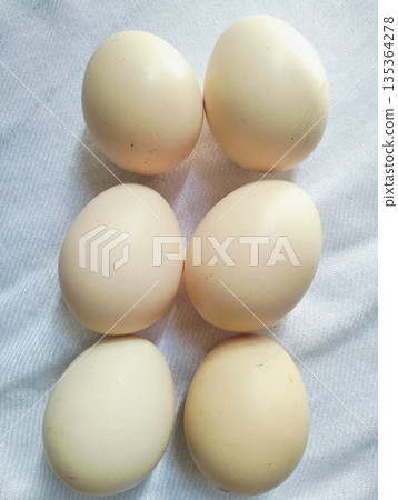 Fresh chicken eggs arranged on white fabric background representing natural farm product and food ingredient Fresh chicken eggs arranged on white fabric background representing natural farm product and food ingredient 135364278