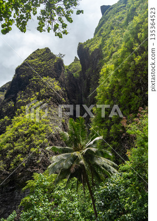 Trek to Vaipo waterfall, Hakaui Valley, Nuku Hiva, French Polynesia Trek to Vaipo waterfall, Hakaui Valley, Nuku Hiva, French Polynesia 135364523