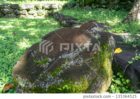 Ancient turtle statue at Kamuihei archaeological site, Nuku Hiva, French Polynesia 135364525