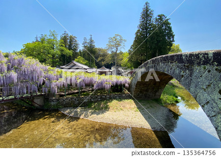Wisteria flowers at Sasamuta Shrine Wisteria flowers at Sasamuta Shrine 135364756