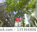 Budapest Csanady street City Street Scene With Tall Tree And Red No Entry Sign Amid Old Buildings 135364808