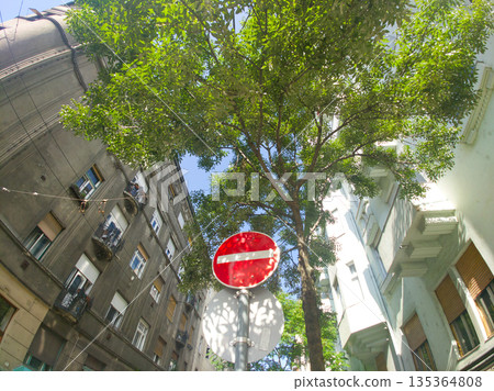 Budapest Csanady street City Street Scene With Tall Tree And Red No Entry Sign Amid Old Buildings Budapest Csanady street City Street Scene With Tall Tree And Red No Entry Sign Amid Old Buildings 135364808