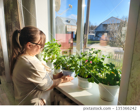 A woman wearing glasses tends potted geraniums on a bright windowsill. The woman enjoys the warm sunlight and admires the rural landscape with houses and trees while tending to her houseplants. 135366242