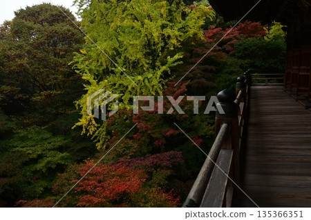 Autumn trip 135366351