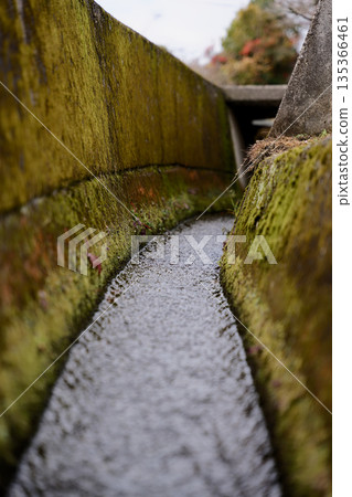 Mossy gutter 135366461