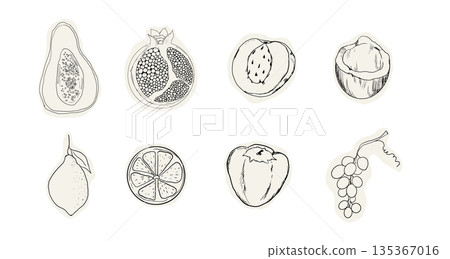 Fruit doodle sketch hand drawn set tropical and garden fruits and berries. Decorative vector elements for poster, placard, greeting card, menu or wedding invitation Fruit doodle sketch hand drawn set tropical and garden fruits and berries. Decorative vector elements for poster, placard, greeting card, menu or wedding invitation 135367016