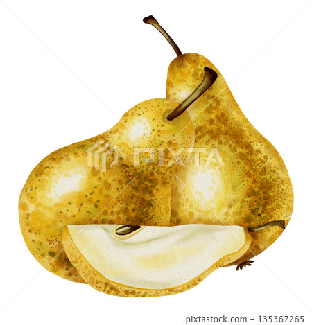 A hand-drawn watercolor illustration of whole yellow pears next to a slice. The pear contains seeds. Perfect for food packaging, menu design, kitchen decor, and recipe cards. 135367265