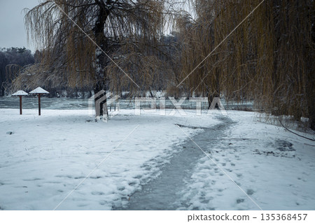 Snow-covered, icy trees in the park in winter. Snow-covered, icy trees in the park in winter. 135368457