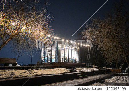 Sparkling garland on icy twigs with fresh snow. Cozy holiday night in a winter park. 135368499