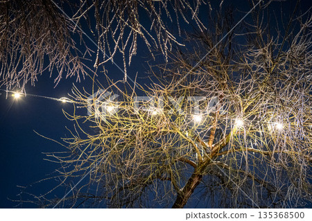Winter evening: glowing lights on frozen branches blanketed in white snow. Winter evening: glowing lights on frozen branches blanketed in white snow. 135368500