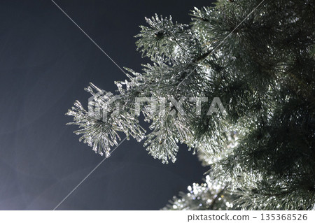 Close-up of icy fir needles at night. Soft park illumination on white snow. 135368526
