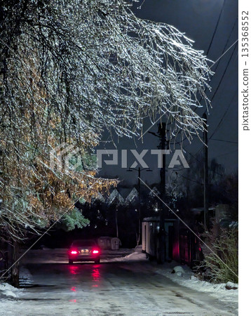 icy tree branches covered with fresh snow in the evening icy tree branches covered with fresh snow in the evening 135368552