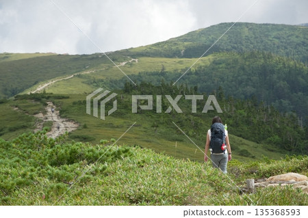 Climbers walking along a green mountain path Climbers walking along a green mountain path 135368593