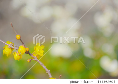 慌張 慌張 135368601