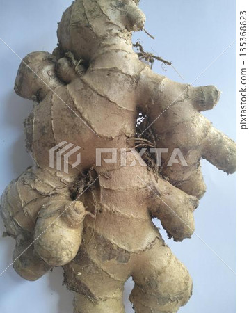 Fresh ginger root pile healthy spice ingredient Fresh ginger root pile healthy spice ingredient 135368823
