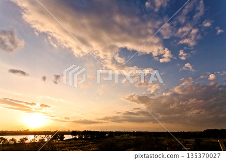 y子/路邊綠色公園 135370027