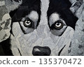 Close up of an embroidered husky dog portrait, showcasing detailed needlework and expressive eyes, perfect for animal lovers and textile art enthusiasts 135370472