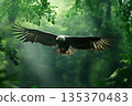 Majestic bald eagle with outstretched wings soars through a vibrant green forest, showcasing its power and grace in its natural habitat 135370483