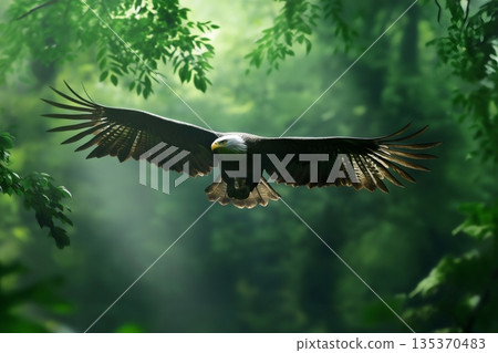 Majestic bald eagle with outstretched wings soars through a vibrant green forest, showcasing its power and grace in its natural habitat Majestic bald eagle with outstretched wings soars through a vibrant green forest, showcasing its power and grace in its natural habitat 135370483