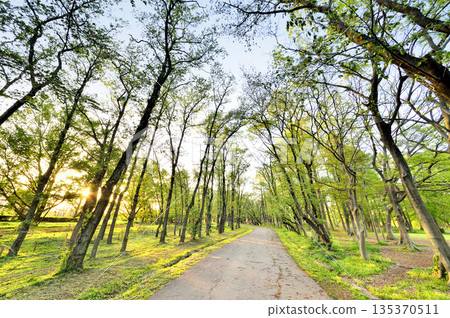 Akigase Park 135370511