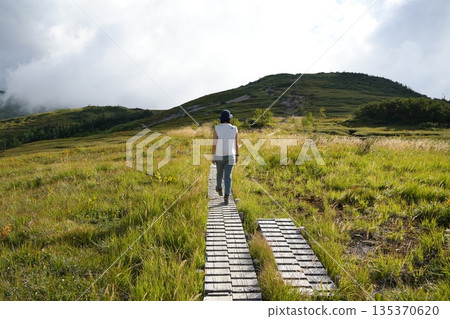 Hikers walking along a boardwalk on a grassy plain 135370620