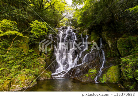 Shiraito Falls in Itoshima City, Fukuoka Prefecture 135370688