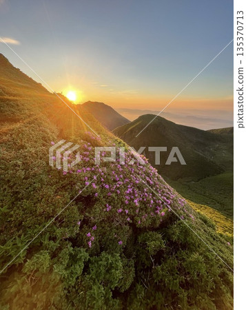 霧島,九重山脈中一座幽深的山峰,沐浴在晨曦之中 霧島,九重山脈中一座幽深的山峰,沐浴在晨曦之中 135370713