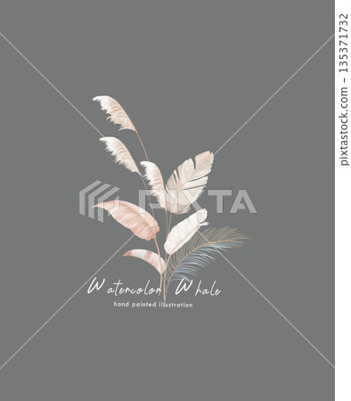 Collection Of Diverse Soft Colored Floral And Decorative Pattern Designs Collection Of Diverse Soft Colored Floral And Decorative Pattern Designs 135371732