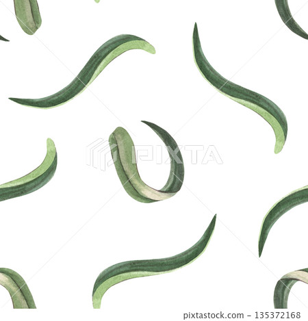 Seamless pattern with carnation flower leaves. Hand-painted watercolor botanical illustration isolated on white for textile, packaging, stationery, wallpapers, branding, wedding design, romantic decor 135372168