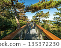 Wooden sky walk viewpoint above Lake Balaton with forest scenery, elevated walkway, and panoramic views creating a scenic outdoor attraction in a natural landscape of Hungary 135372230