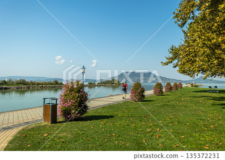 Peaceful lakeside promenade along Lake Balaton with flowering bushes, calm water, green park lawn, and distant hills creating a relaxing summer travel scene in Hungary 135372231