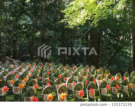 孔雀寺的風景 孔雀寺的風景 135372239