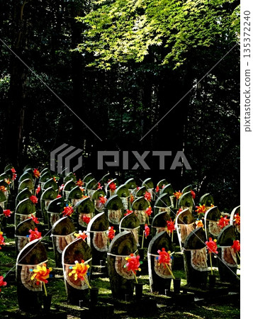 Scenery of Kongorinji Temple Scenery of Kongorinji Temple 135372240