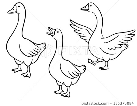 Elegant goose line art set for tattoos, logos, prints, and minimalist designs. Ideal for designers, artists, and crafters Elegant goose line art set for tattoos, logos, prints, and minimalist designs. Ideal for designers, artists, and crafters 135373094
