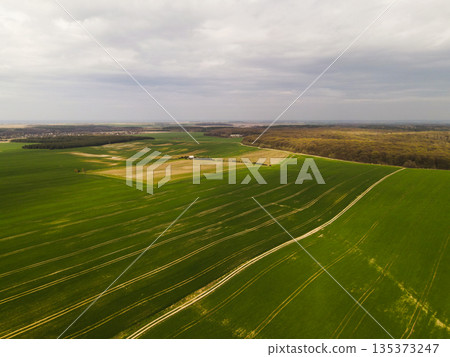 Aerial view of green agricultural fields with forest edge, rural farmland landscape and cloudy sky Aerial view of green agricultural fields with forest edge, rural farmland landscape and cloudy sky 135373247