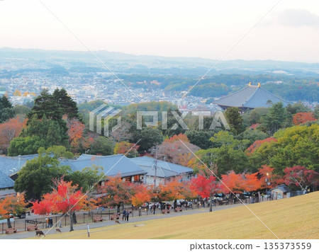 奈良縣,從若草山眺望奈良市的秋葉傍晚景色,11月 奈良縣,從若草山眺望奈良市的秋葉傍晚景色,11月 135373559