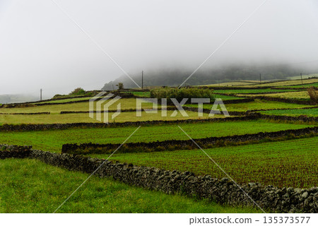 Sao Miguel Island Terraced Fields Sao Miguel Island Terraced Fields 135373577