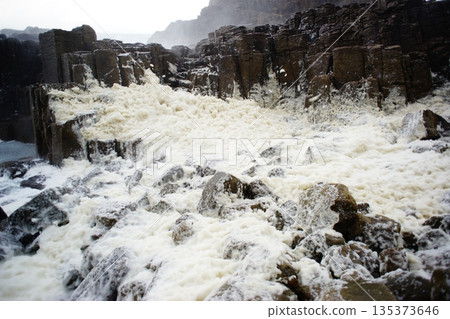 花的波浪 花的波浪 135373646