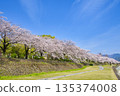 【神奈川縣】水無川沿岸的櫻花樹 135374008
