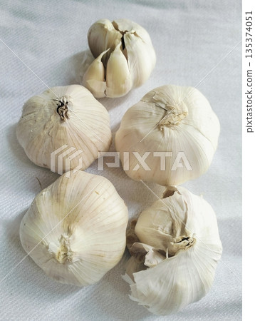 Fresh whole garlic bulbs on white fabric background as natural cooking ingredient and food texture Fresh whole garlic bulbs on white fabric background as natural cooking ingredient and food texture 135374051